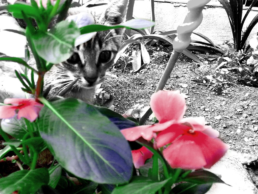 Being objective in a subjective&nbsp;world