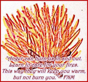 Anger under control doesn't burn - photo by FNM