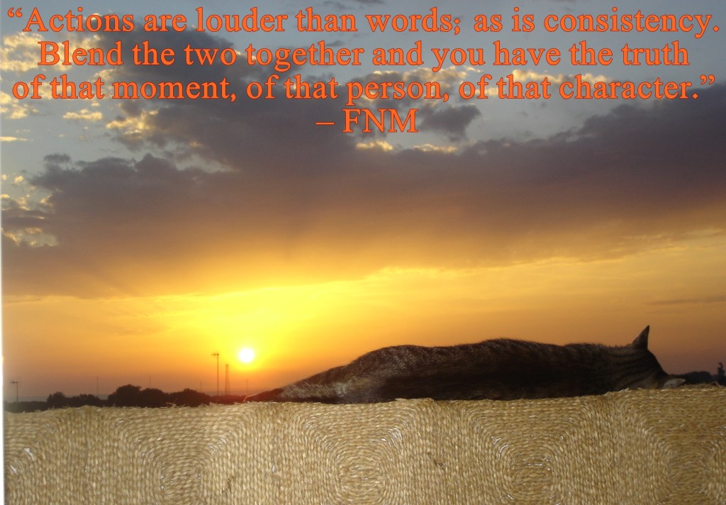 Consistency speaks louder than words and actions - photo by FNM