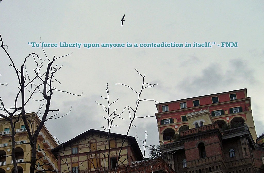 Liberty does not walk with force - photo FNM