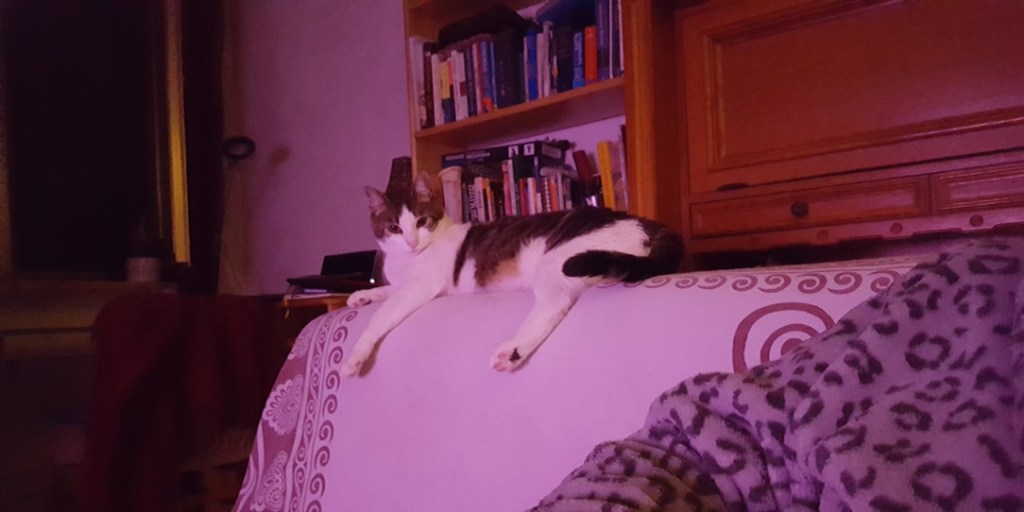 November 5D ascension energies new moon and full&nbsp;moon