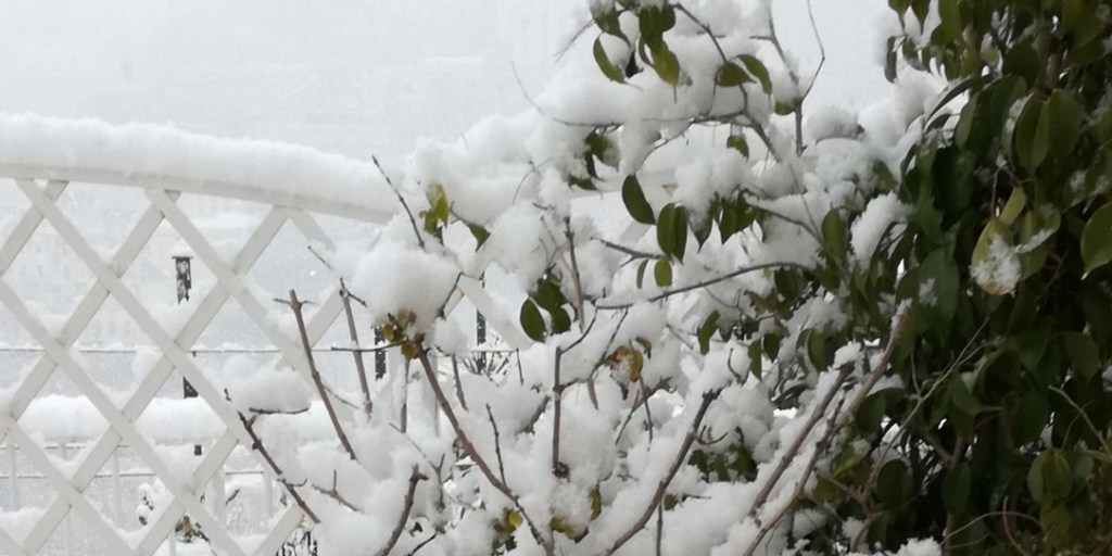 December 5D ascension energies for 12 12 major shifts and more (Update 12&nbsp;21)